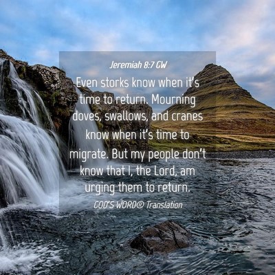 Picture 04 - Jeremiah 8:7 GW - Even storks know when it’s time to return. - Bible Verse Picture
