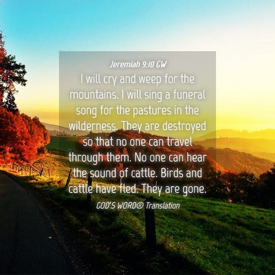 Picture 04 - Jeremiah 9:10 GW - I will cry and weep for the mountains. I will - Bible Verse Picture