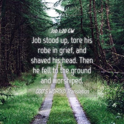 Picture 04 - Job 1:20 GW - Job stood up, tore his robe in grief, and shaved - Bible Verse Picture