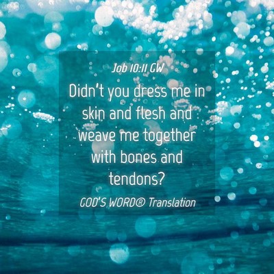 Picture 04 - Job 10:11 GW - Didn’t you dress me in skin and flesh and weave - Bible Verse Picture