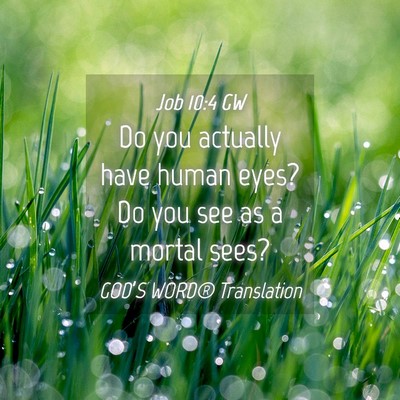 Picture 04 - Job 10:4 GW - Do you actually have human eyes? Do you see as a - Bible Verse Picture
