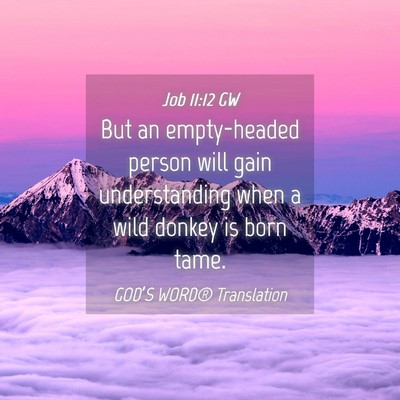 Picture 04 - Job 11:12 GW - But an empty-headed person will gain - Bible Verse Picture