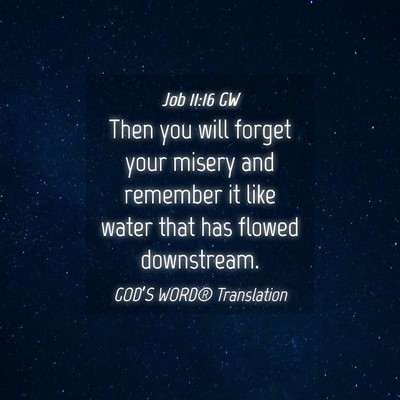Picture 04 - Job 11:16 GW - Then you will forget your misery and remember it - Bible Verse Picture