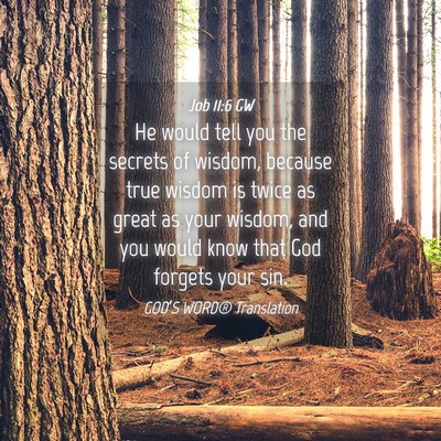 Picture 04 - Job 11:6 GW - He would tell you the secrets of wisdom, because - Bible Verse Picture