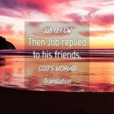 Picture 04 - Job 12:1 GW - Then Job replied to his - Bible Verse Picture
