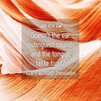 Picture 04 - Job 12:11 GW - Doesn’t the ear distinguish sounds and the - Bible Verse Picture