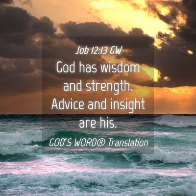 Picture 04 - Job 12:13 GW - God has wisdom and strength. Advice and insight - Bible Verse Picture