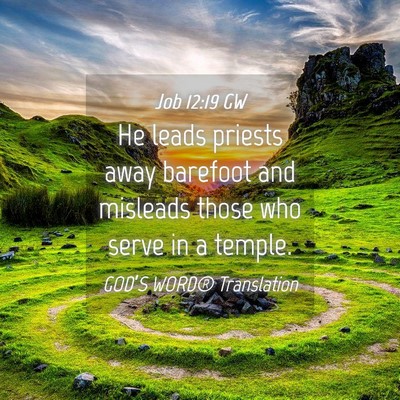 Picture 04 - Job 12:19 GW - He leads priests away barefoot and misleads those - Bible Verse Picture