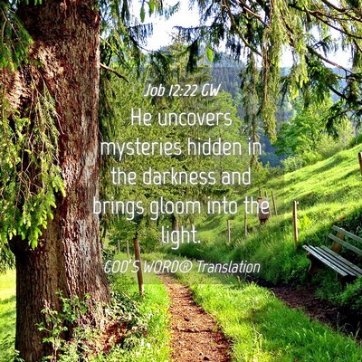 Picture 04 - Job 12:22 GW - He uncovers mysteries hidden in the darkness and - Bible Verse Picture