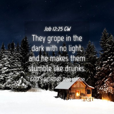 Picture 04 - Job 12:25 GW - They grope in the dark with no light, and he - Bible Verse Picture