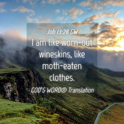Picture 04 - Job 13:28 GW - I am like worn-out wineskins, like moth-eaten - Bible Verse Picture