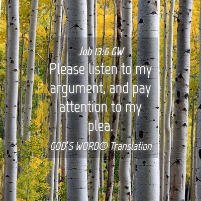 Picture 04 - Job 13:6 GW - Please listen to my argument, and pay attention - Bible Verse Picture