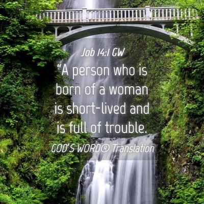 Picture 04 - Job 14:1 GW - “A person who is born of a woman is short-lived - Bible Verse Picture