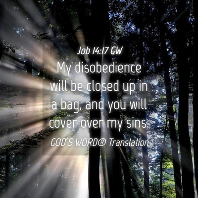 Picture 04 - Job 14:17 GW - My disobedience will be closed up in a bag, and - Bible Verse Picture