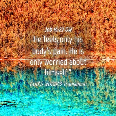 Picture 04 - Job 14:22 GW - He feels only his body’s pain. He is only - Bible Verse Picture