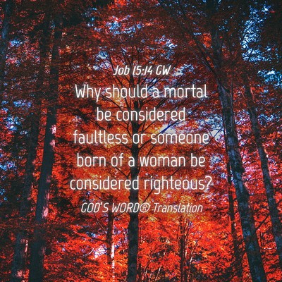 Picture 04 - Job 15:14 GW - Why should a mortal be considered faultless or - Bible Verse Picture