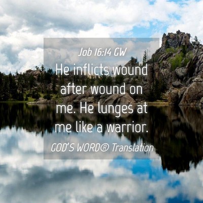 Picture 04 - Job 16:14 GW - He inflicts wound after wound on me. He lunges at - Bible Verse Picture