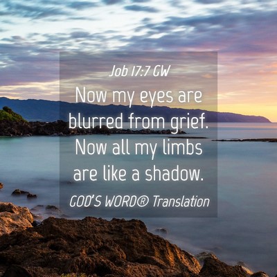 Picture 04 - Job 17:7 GW - Now my eyes are blurred from grief. Now all my - Bible Verse Picture