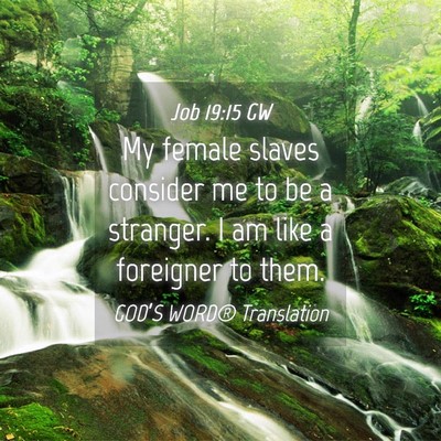 Picture 04 - Job 19:15 GW - My female slaves consider me to be a stranger. I - Bible Verse Picture