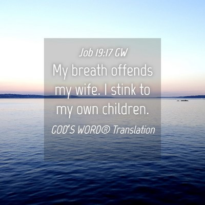 Picture 04 - Job 19:17 GW - My breath offends my wife. I stink to my own - Bible Verse Picture