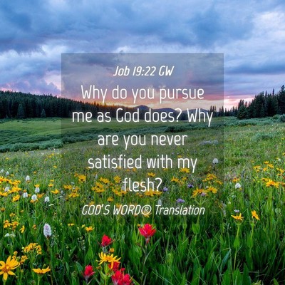 Picture 04 - Job 19:22 GW - Why do you pursue me as God does? Why are you - Bible Verse Picture