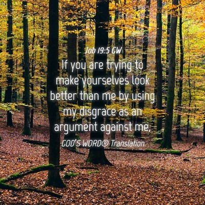Picture 04 - Job 19:5 GW - If you are trying to make yourselves look better - Bible Verse Picture