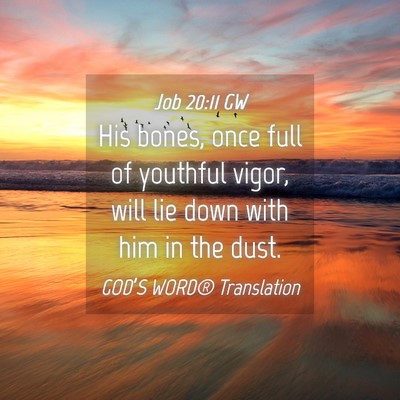 Picture 04 - Job 20:11 GW - His bones, once full of youthful vigor, will lie - Bible Verse Picture