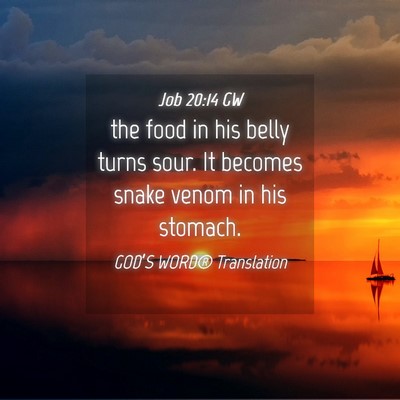 Picture 04 - Job 20:14 GW - the food in his belly turns sour. It becomes - Bible Verse Picture