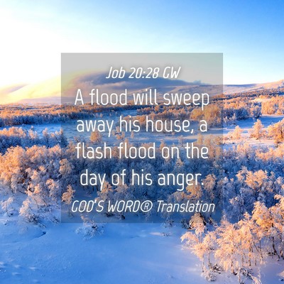 Picture 04 - Job 20:28 GW - A flood will sweep away his house, a flash flood - Bible Verse Picture