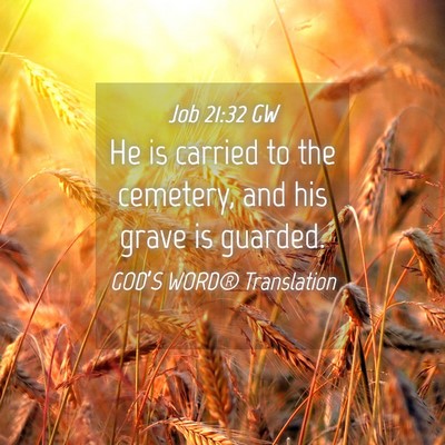 Picture 04 - Job 21:32 GW - He is carried to the cemetery, and his grave is - Bible Verse Picture