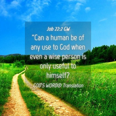 Picture 04 - Job 22:2 GW - “Can a human be of any use to God when even a - Bible Verse Picture