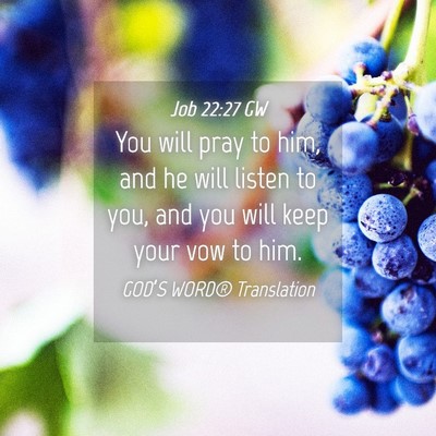 Picture 04 - Job 22:27 GW - You will pray to him, and he will listen to you, - Bible Verse Picture