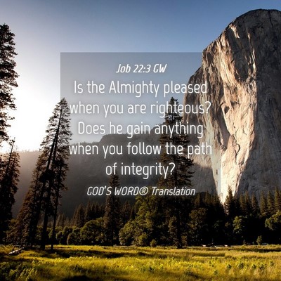 Picture 04 - Job 22:3 GW - Is the Almighty pleased when you are righteous? - Bible Verse Picture