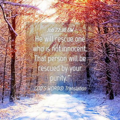 Picture 04 - Job 22:30 GW - He will rescue one who is not innocent. That - Bible Verse Picture
