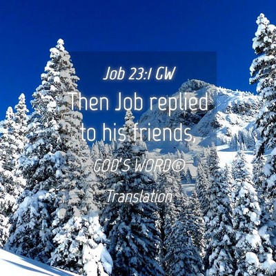 Picture 04 - Job 23:1 GW - Then Job replied to his - Bible Verse Picture