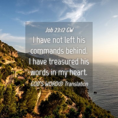 Picture 04 - Job 23:12 GW - I have not left his commands behind. I have - Bible Verse Picture