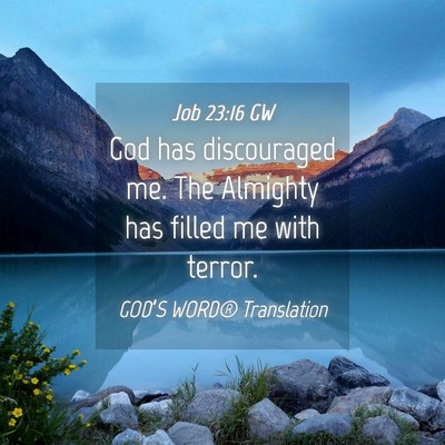 Picture 04 - Job 23:16 GW - God has discouraged me. The Almighty has filled - Bible Verse Picture