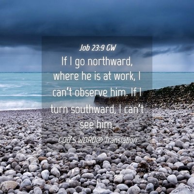 Picture 04 - Job 23:9 GW - If I go northward, where he is at work, I can’t - Bible Verse Picture
