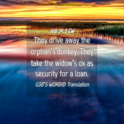 Picture 04 - Job 24:3 GW - They drive away the orphan’s donkey. They take - Bible Verse Picture