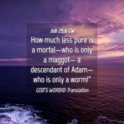 Picture 04 - Job 25:6 GW - How much less pure is a mortal—who is only a - Bible Verse Picture