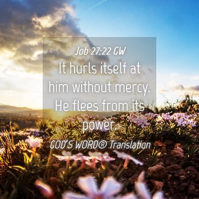 Picture 04 - Job 27:22 GW - It hurls itself at him without mercy. He flees - Bible Verse Picture