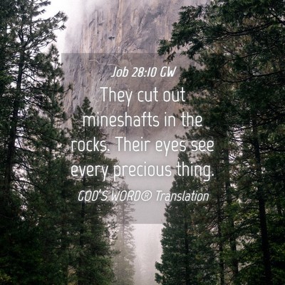 Picture 04 - Job 28:10 GW - They cut out mineshafts in the rocks. Their eyes - Bible Verse Picture