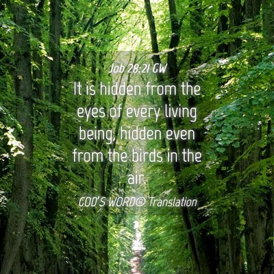 Picture 04 - Job 28:21 GW - It is hidden from the eyes of every living being, - Bible Verse Picture