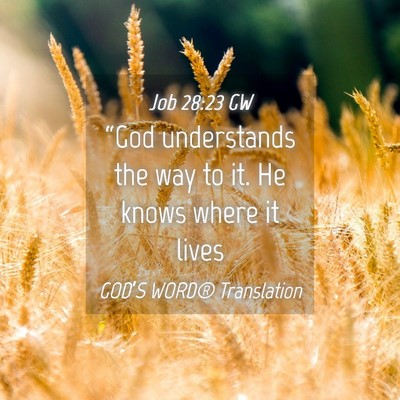 Picture 04 - Job 28:23 GW - “God understands the way to it. He knows where - Bible Verse Picture