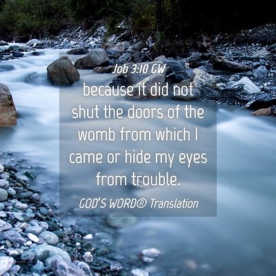 Picture 04 - Job 3:10 GW - because it did not shut the doors of the womb - Bible Verse Picture