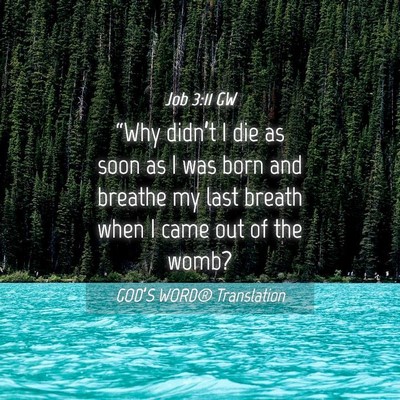 Picture 04 - Job 3:11 GW - “Why didn’t I die as soon as I was born and - Bible Verse Picture