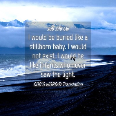 Picture 04 - Job 3:16 GW - I would be buried like a stillborn baby. I would - Bible Verse Picture
