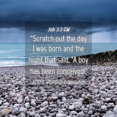 Picture 04 - Job 3:3 GW - “Scratch out the day I was born and the night - Bible Verse Picture