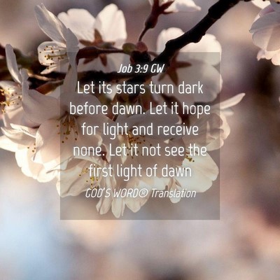 Picture 04 - Job 3:9 GW - Let its stars turn dark before dawn. Let it hope - Bible Verse Picture