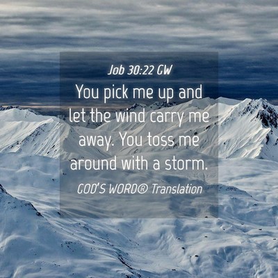 Picture 04 - Job 30:22 GW - You pick me up and let the wind carry me away. - Bible Verse Picture